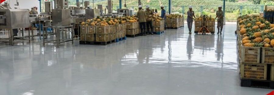 pabrik nanas lampung, Epoxy Lantai Pabrik Nanas
